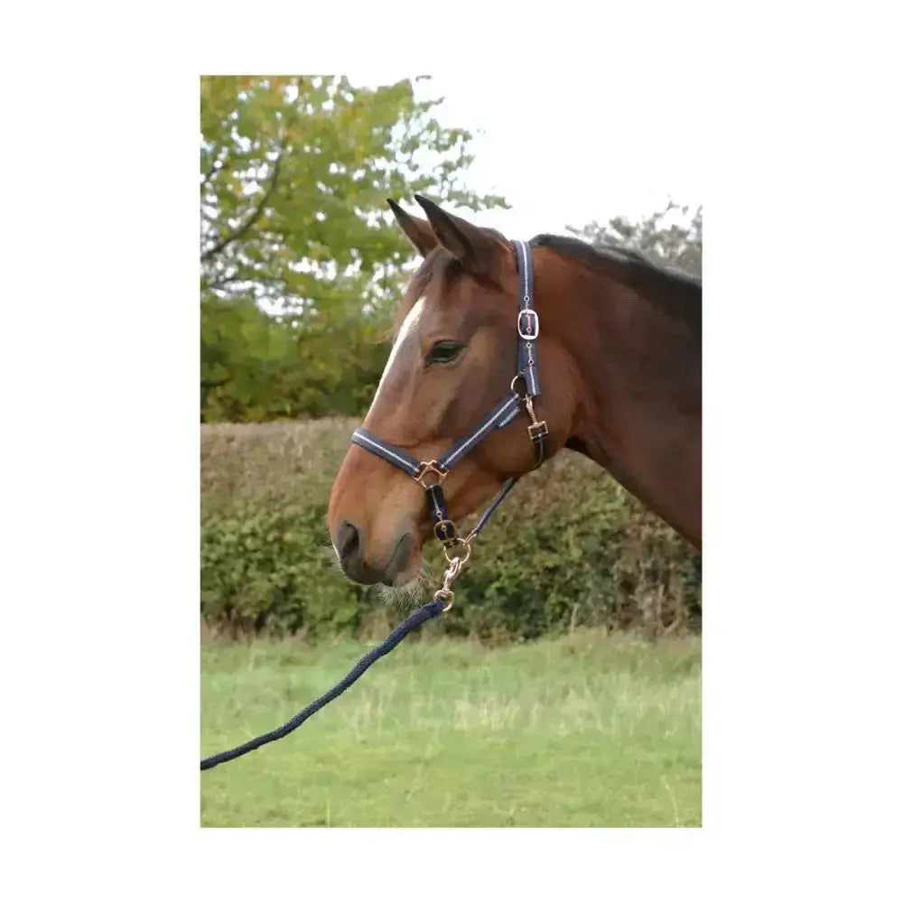 Navy blue leather horse halter with gold hardware from hy equestrian rose glitter head collar and lead rope set