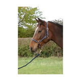 Navy blue leather horse halter with gold hardware from hy equestrian rose glitter head collar and lead rope set