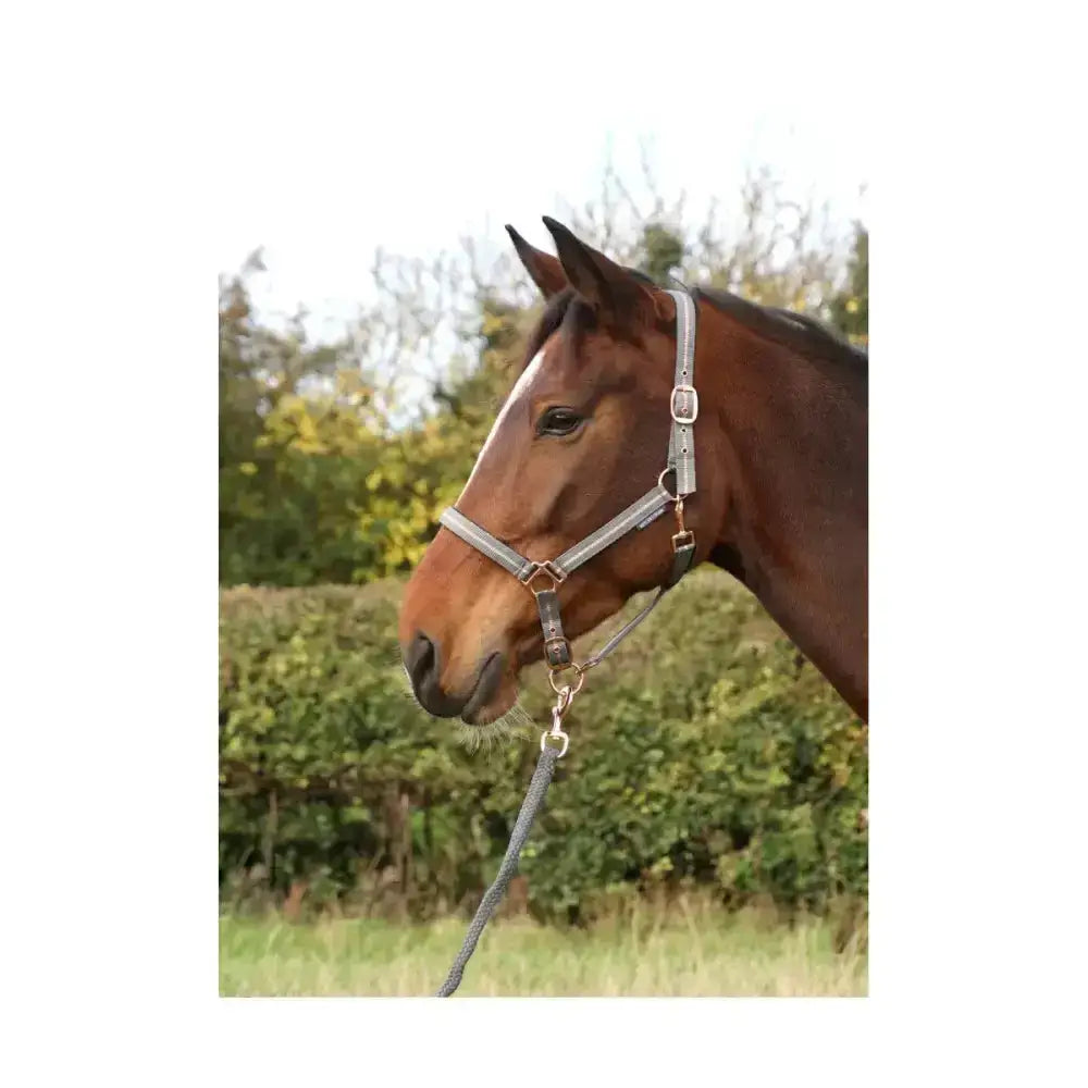 Silver leather equestrian rose glitter head collar with adjustable buckles and matching lead rope set