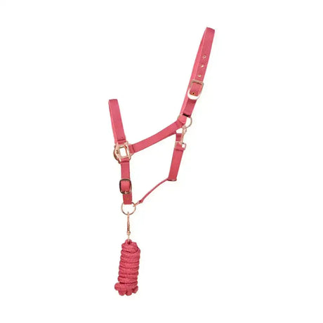 Pink leather equestrian rose gold head collar with gold hardware and matching braided lead rope fully adjustable