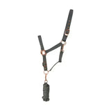 Dark gray leather rose gold head collar with fully adjustable buckles and matching braided lead rope by hy equestrian