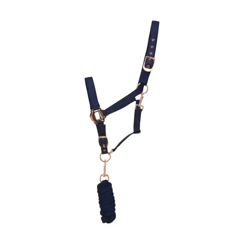 Navy blue horse halter with rose gold head collar hardware and matching braided lead rope for equestrian rose gold style