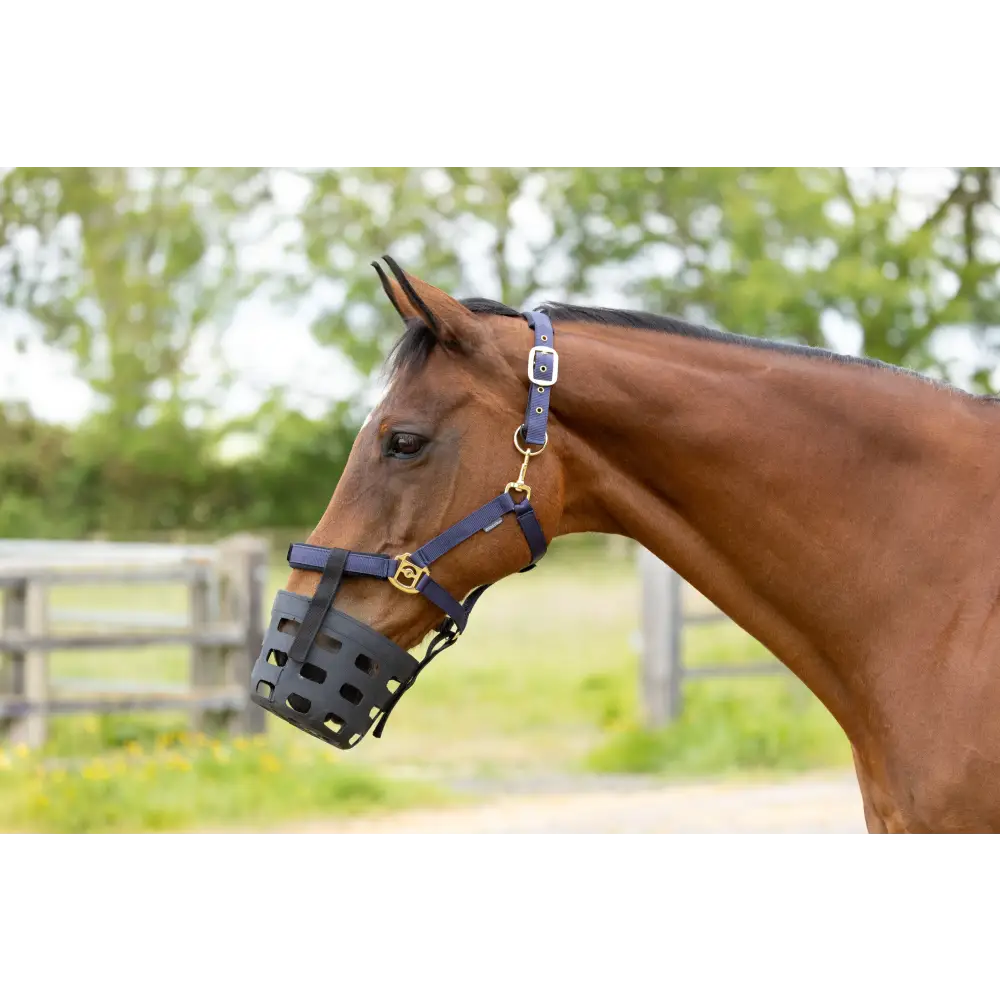 Hy Equestrian Rubber Muzzle Black X Small Pony Grazing Muzzle