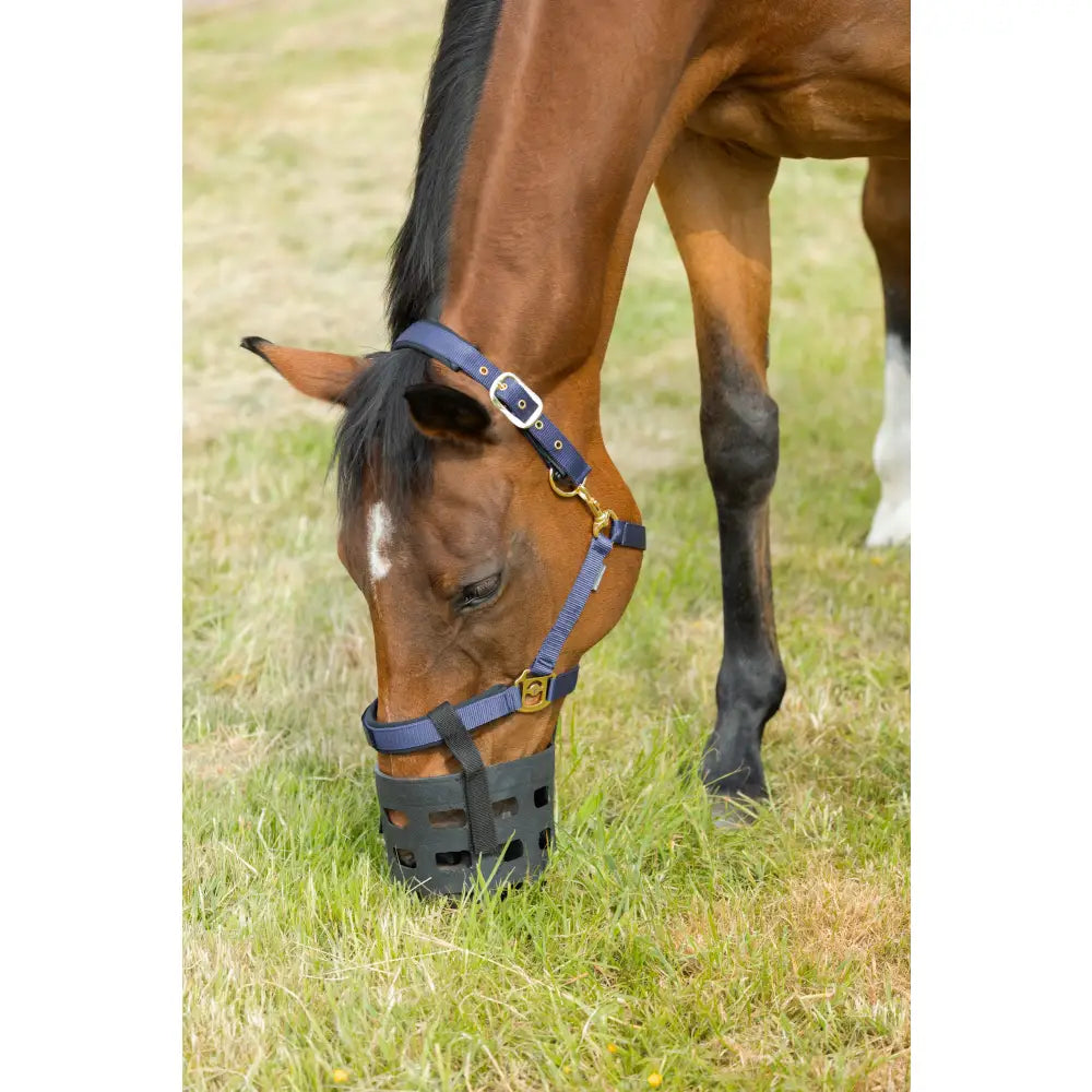 Blue nylon equestrian rubber muzzle with black plastic grid and gold-tone hardware for horse safety and control