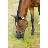 Blue nylon equestrian rubber muzzle with black plastic grid and gold-tone hardware for horse safety and control
