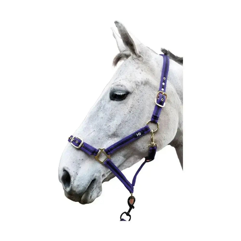 Purple leather horse halter with gold hardware and heart charm from hy equestrian soft webbing head collar collection