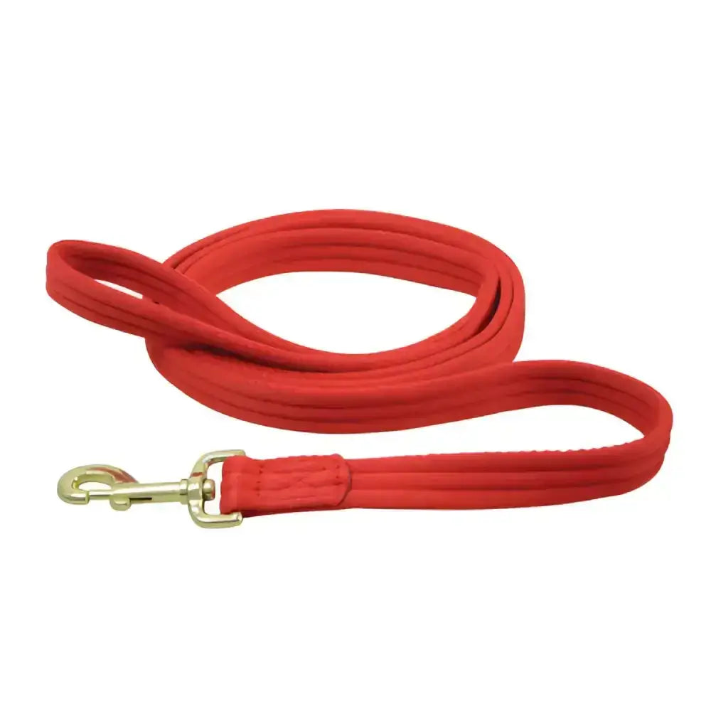 Red quilted fabric soft webbing lead with gold-toned clasp from hy equestrian webbing lead rein without chain