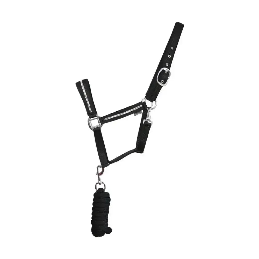 Black leather sparkling head collar with silver hardware and braided black lead rope set for equestrian use