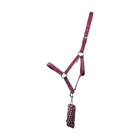 Hy Equestrian Synergy Head Collar & Lead Rope Fig Fig/Silver Small Pony Headcollar Sets