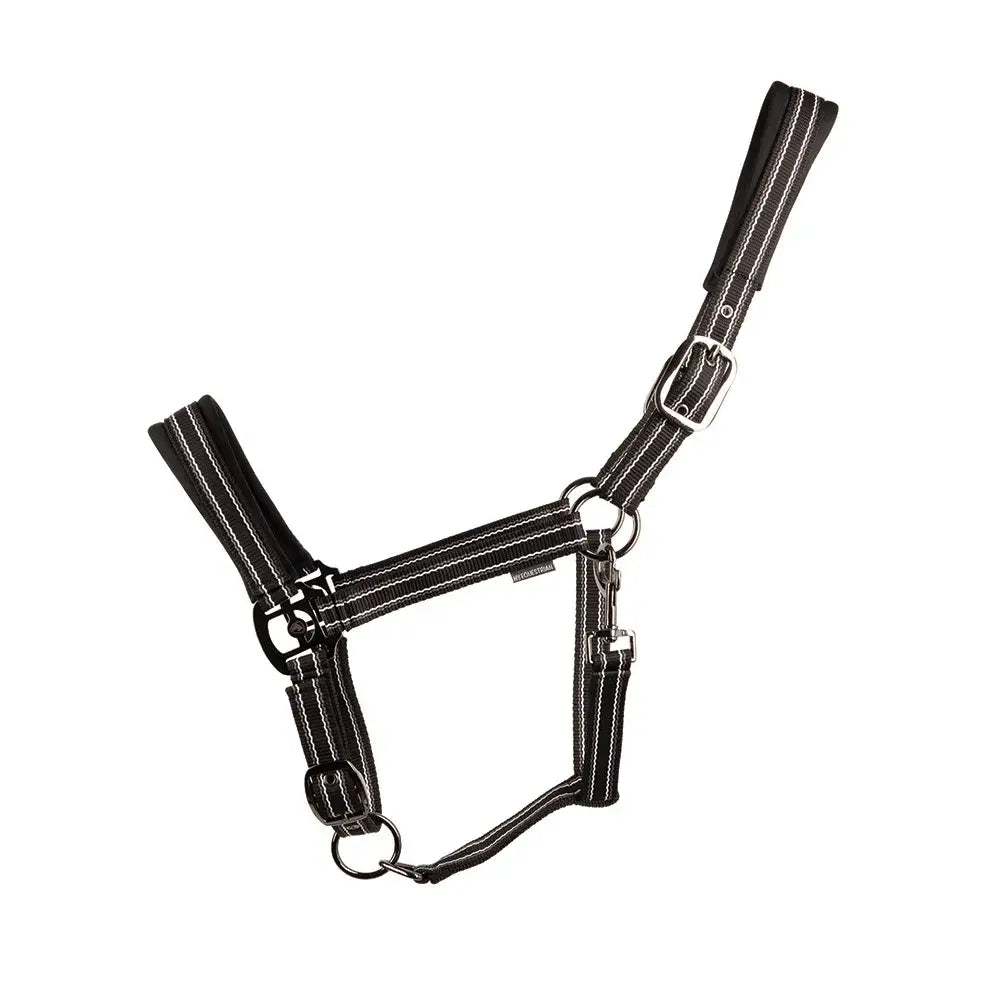Black vertiga head collar with white reflective stripes and gunmetal hardware for equestrian use