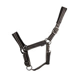 Black vertiga head collar with white reflective stripes and gunmetal hardware for equestrian use