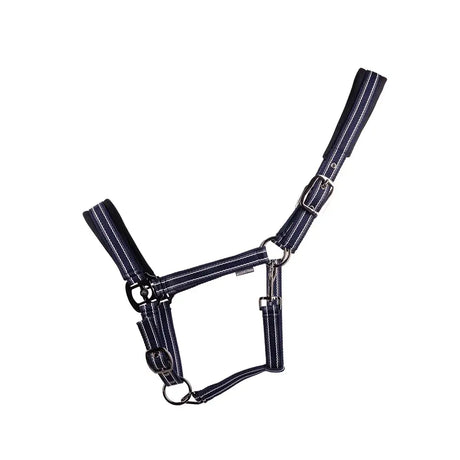 Navy blue striped hy equestrian vertiga head collar with silver gunmetal hardware for equestrian use