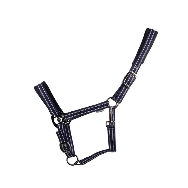 Navy blue striped hy equestrian vertiga head collar with gunmetal hardware for stylish equestrian use