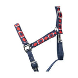 Hy Equestrian Woven Polo Head Collar and Lead Rope Aqua/Fig Small Pony Headcollar Sets
