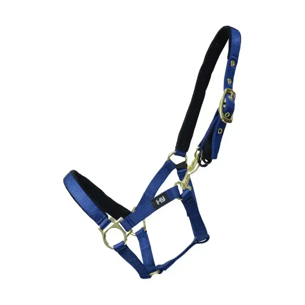 Blue nylon fieldsafe headcollar small pony with black padded interior and silver metal hardware for comfort and safety