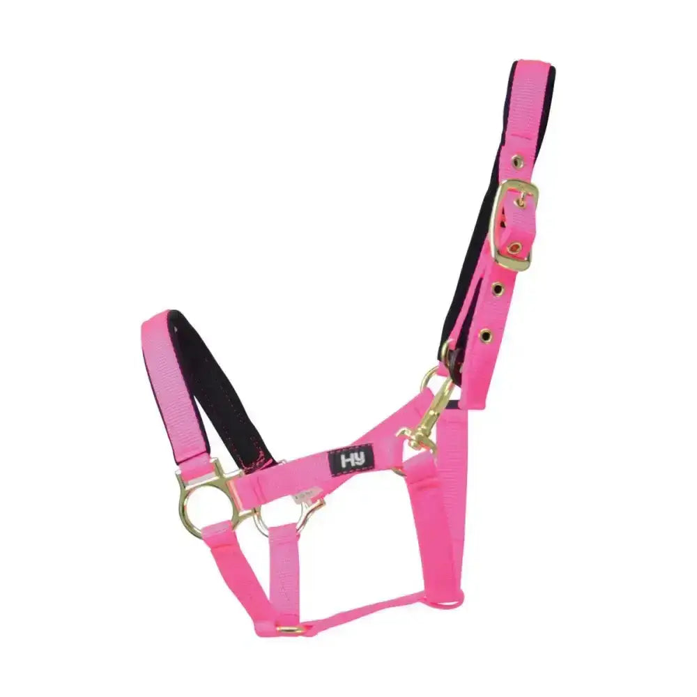 Bright pink fieldsafe headcollar with black lining and gold hardware made from well-designed nylon web for small pony and foal
