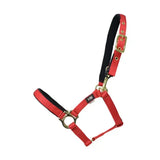 Red and black hy fieldsafe headcollar with gold-tone hardware made of well-designed nylon web for small pony and foal