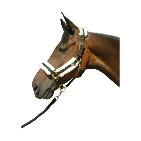 Black leather sheepskin head collar with white fleece lining and gold hardware soft head collar for horses