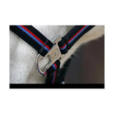 Black horse signature head collar and lead rope set with red and blue striped trim and silver buckle