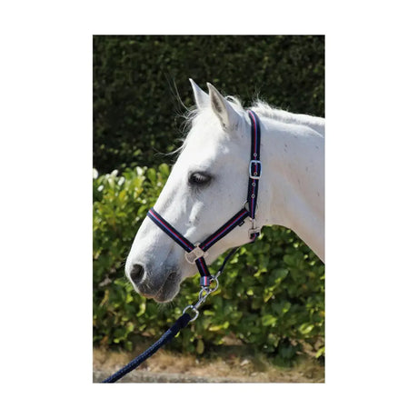 Hy Signature Head Collar & Lead Rope Navy/Red/Blue Cob Headcollar & Lead Rope Barnstaple Equestrian Supplies