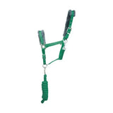 Green leather hy sport active head collar with gray fleece padding and matching lead rope adding extra comfort