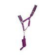 Purple and gray hy sport active head collar with padded straps silver buckles and coiled purple lead rope adding extra comfort