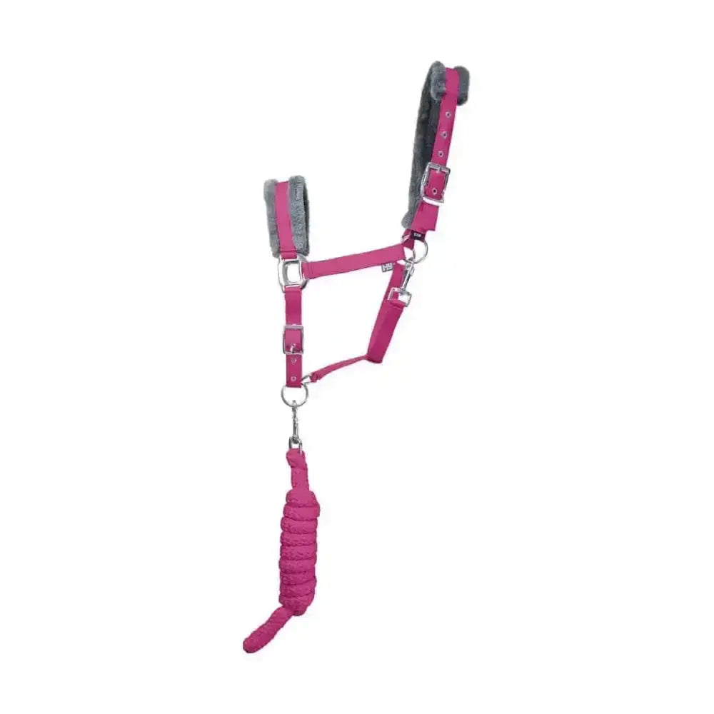 Fuchsia hy sport active head collar with gray fleece padding and matching braided lead rope adding extra comfort