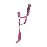 Fuchsia hy sport active head collar with gray fleece padding and matching braided lead rope adding extra comfort