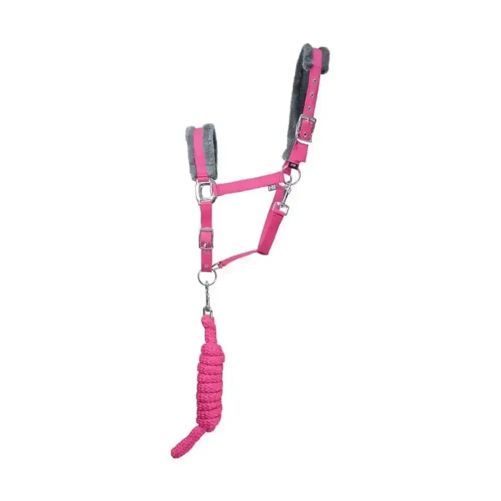 Pink leather hy sport active head collar with gray fleece padding and matching braided lead rope adding extra comfort