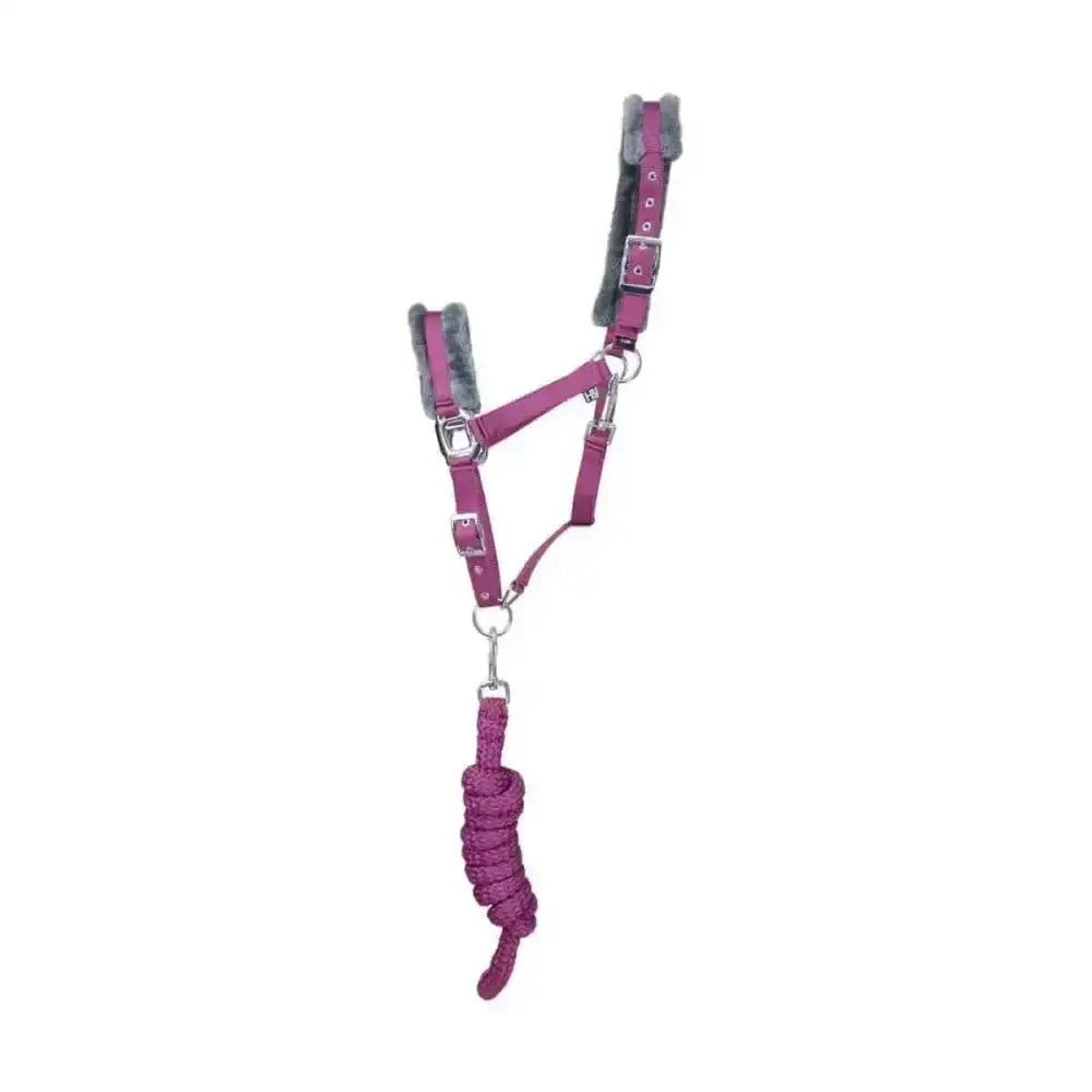 Purple leather hy sport active head collar with gray faux fur padding and matching braided lead rope adding extra comfort