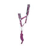 Purple leather hy sport active head collar with gray faux fur padding and matching braided lead rope adding extra comfort