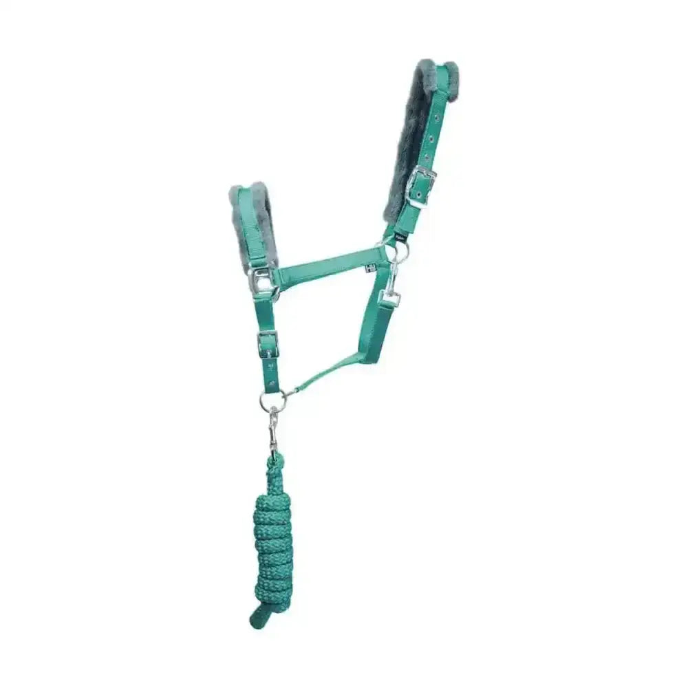 Teal leather hy sport active head collar with plush gray lining and matching braided lead rope adding extra comfort