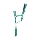 Teal leather hy sport active head collar with plush gray lining and matching braided lead rope adding extra comfort