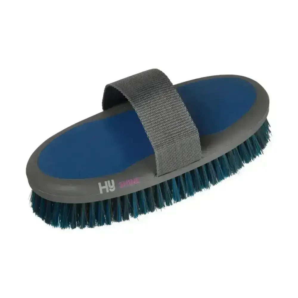 Gray and blue hy sport active sponge brush with dark green bristles and padded strap for super handy grooming