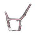 Gray and pink striped two-tone head collar with silver hardware affordable horse halters for everyday use