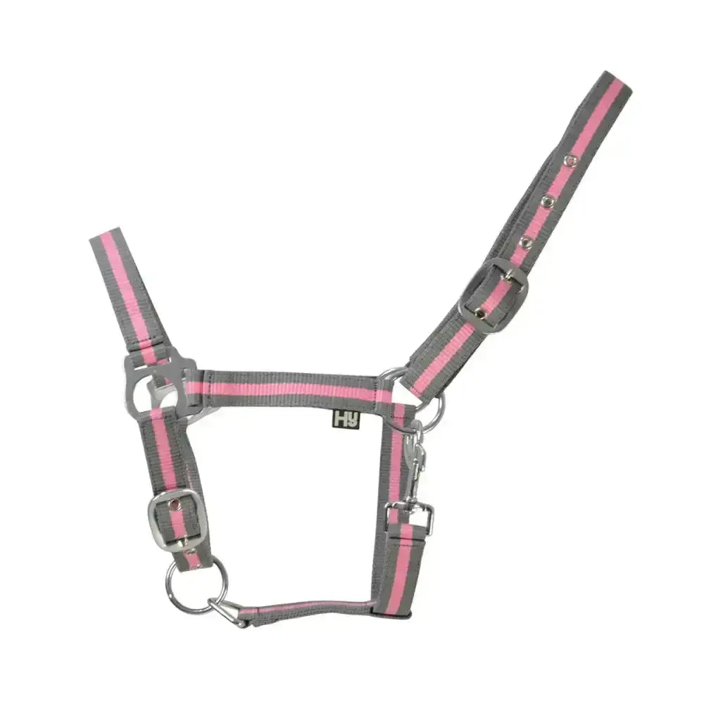 Gray and pink striped two-tone head collar with silver hardware affordable horse halters for everyday use