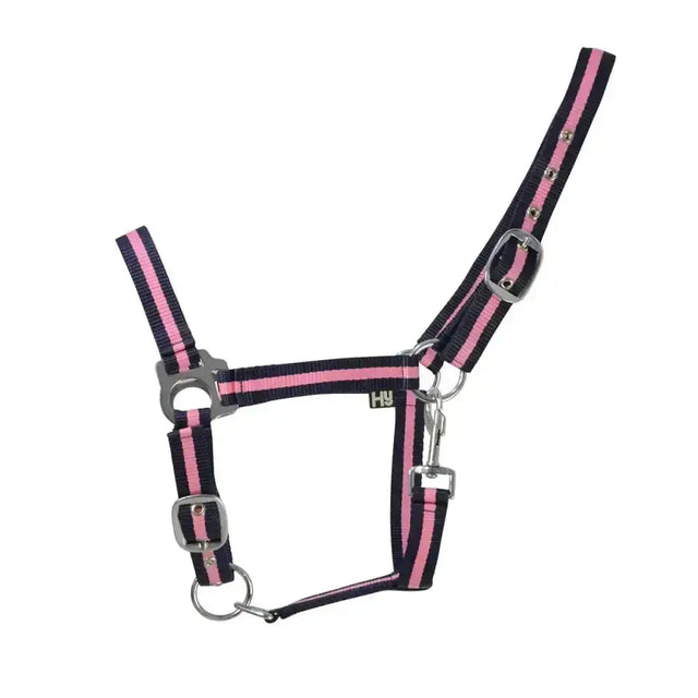 Pink and black striped two-tone head collar with silver metal hardware affordable horse halters for everyday use