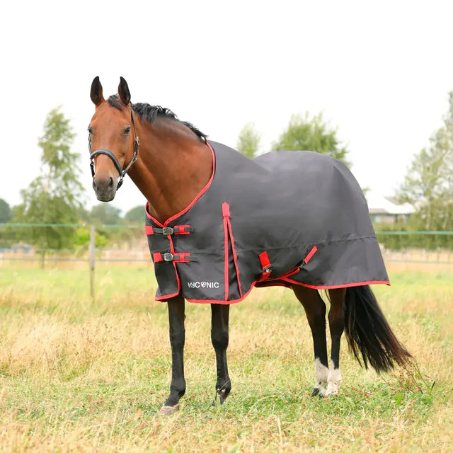 Black and red hyconic 0g turnout rug with reflective trim super lightweight charcoal waterproof denier rug