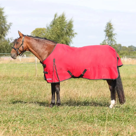 Red hyconic 200g turnout rug with black trim, twin buckle chest straps, and a logo on the side