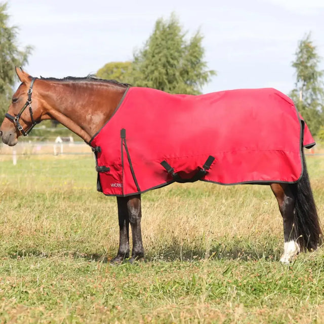 Red hagen hyconic 50g turnout rug with black trim and adjustable straps for secure fit and lightweight warmth