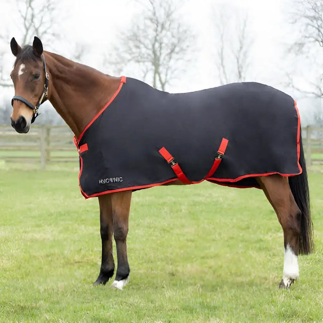 Black hyconic summer sheet horse blanket with red trim, adjustable surcingle chest fastening, and optimum breathability