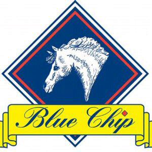  Blue Chip Feed