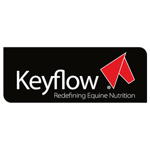  Keyflow