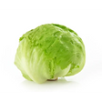Iceberg Lettuce vegetables