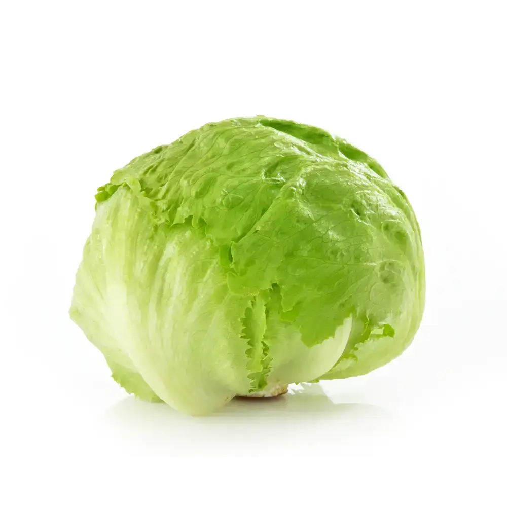 Iceberg Lettuce vegetables