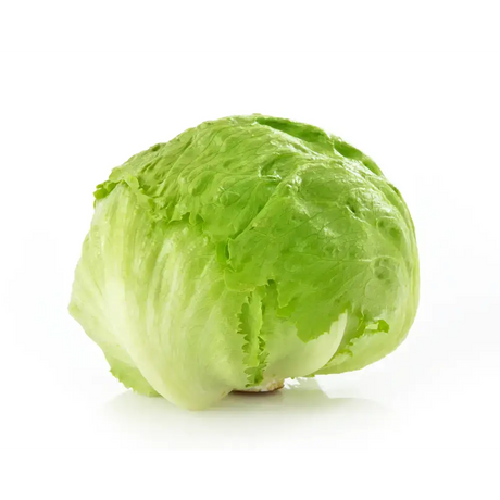 Iceberg Lettuce vegetables