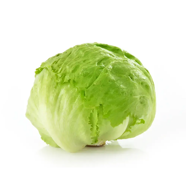 Iceberg Lettuce vegetables