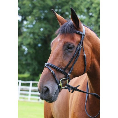 Gallop Padded Bridle With Rubber Reins Flash Bridles Barnstaple Equestrian Supplies