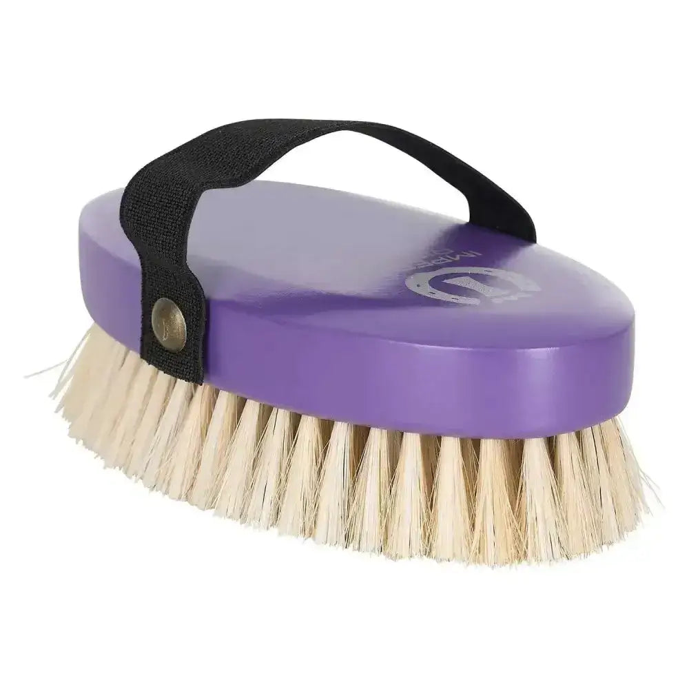 Imperial riding head purple oval riding head brush with natural horse hair bristles and black fabric strap