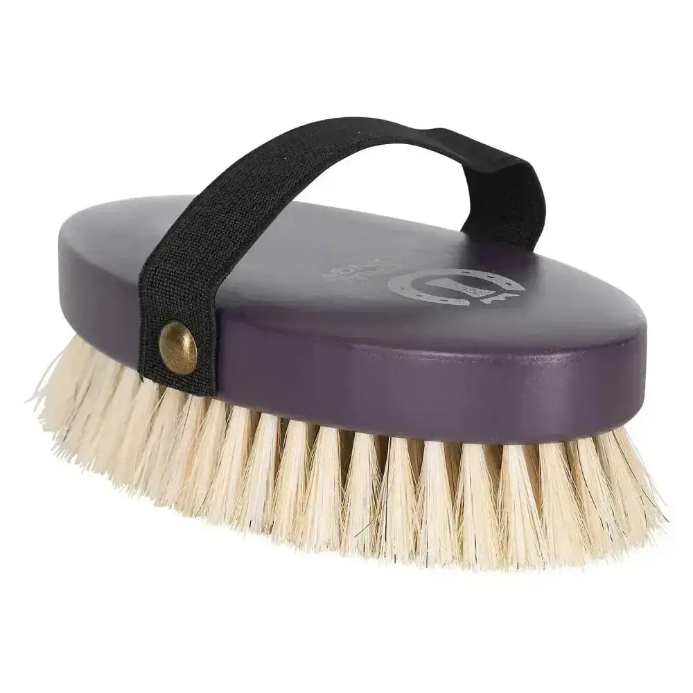 Imperial riding head brush purple oval horse brush with natural beige bristles and black fabric strap for grooming horse hair